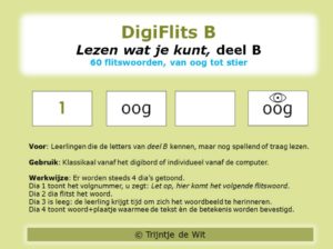 DigiFlits B